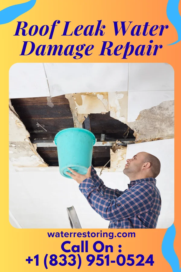 Roof Leak Water Damage Repair in Athens, IL